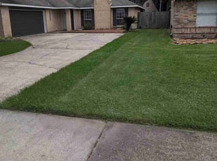 Tony R.'s lawn service service result