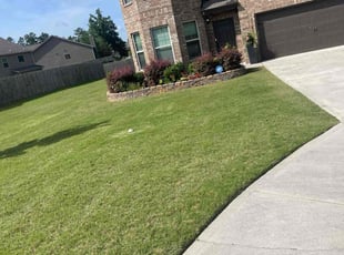 Elias Z.'s lawn care services service result