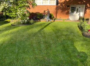 Christine C.'s turf care service result