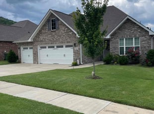 Michael W.'s turf maintenance service result