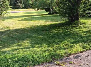 Lloyd G.'s grass maintenance service result