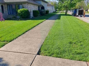 Julio A.'s lawn care service result