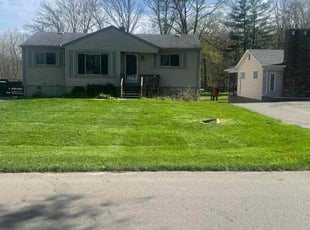 Markia C.'s turf care service result