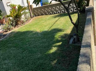 Araceli C.'s turf care service result