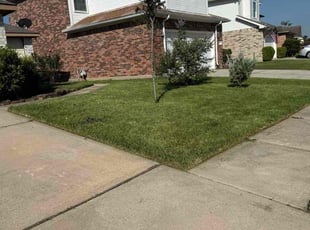Stephanie D.'s turf maintenance service result