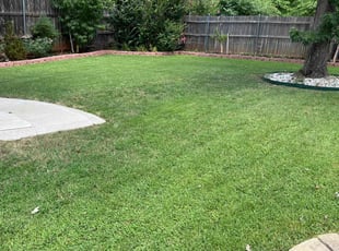 Dennis C.'s grass cutting service result