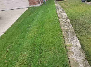 Robert P.'s lawn care services service result