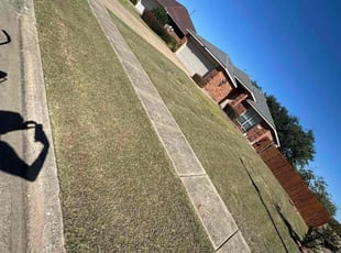 Rex C.'s turf maintenance service result