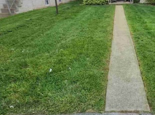 Nigel R.'s lawn care services service result