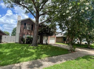 Obi A.'s turf care service result