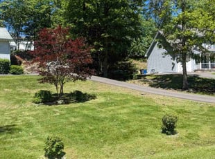 John M.'s grass cutting service result