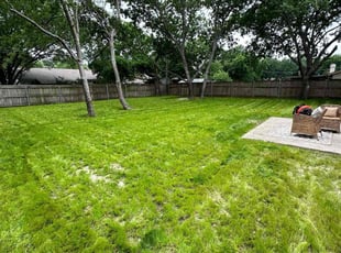 Paul I.'s Long Grass Cleanup service result
