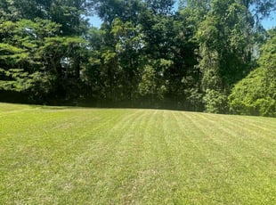 Lucas M.'s turf maintenance service result