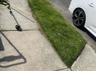 DaShawn E.'s grass maintenance service result