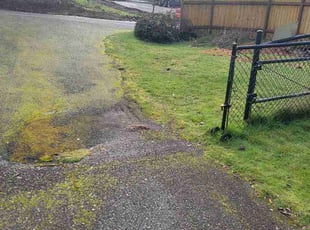 Sherry M.'s grass cutting service result