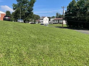 Karissa M.'s Bush Trimming service result