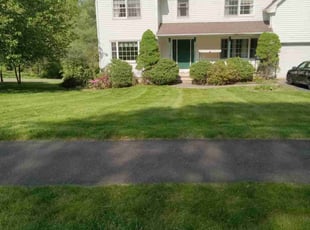 Sheila L.'s turf care service result