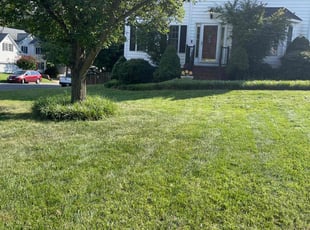 Georgia G.'s lawn service service result