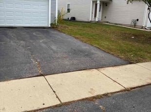 Olga B.'s lawn care services service result