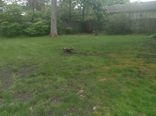 Kate D.'s Leaf Removal service result