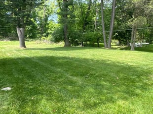 Tim W.'s lawn maintenance service result