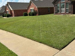 Donnie H.'s lawn service service result