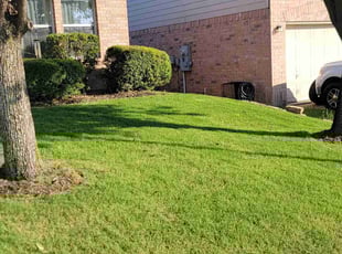 Richard B.'s grass maintenance service result