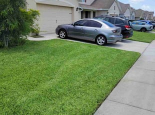 Dan L.'s lawn care services service result