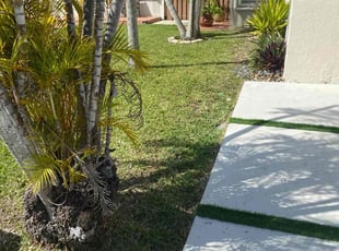 Cheree P.'s lawn care service result