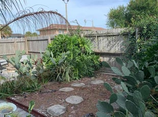 Markus J.'s Cleanup service result