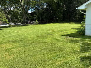 Marlo R.'s turf care service result