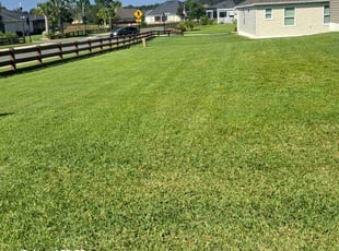 David D.'s turf maintenance service result