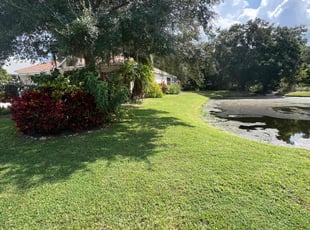 Bonnie S.'s turf maintenance service result