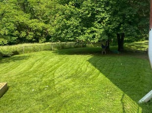 Kishon G.'s grass maintenance service result