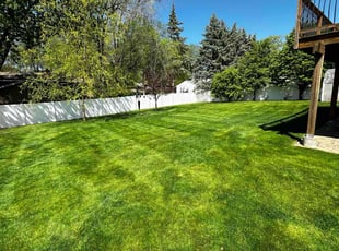 Greg S.'s Leaf Removal service result