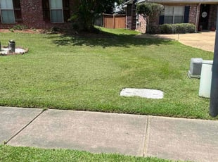 Dean R.'s grass cutting service result
