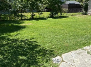 Shelly M.'s lawn care services service result