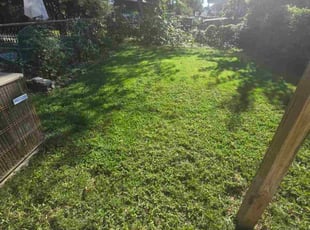 Marilyn B.'s grass maintenance service result