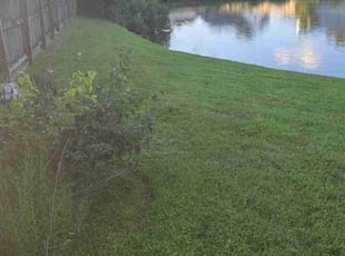 Michaela B.'s lawn care service result