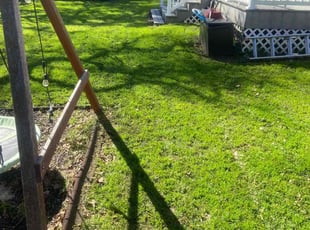 Marcia D.'s turf maintenance service result