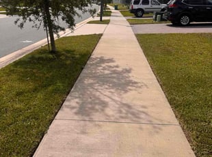 Mary M.'s turf care service result