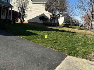 Rona A.'s Leaf Removal service result