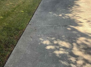 Claude M.'s lawn care service result