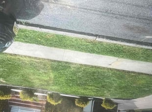 Teri B.'s lawn maintenance service result