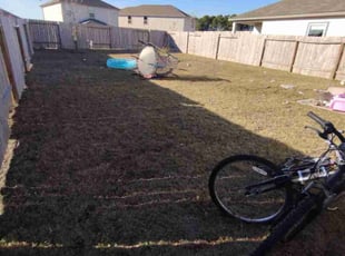 Tamara R.'s lawn maintenance service result