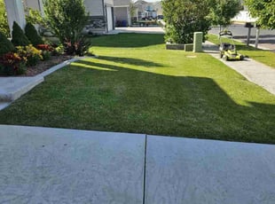 Latosha G.'s grass cutting service result