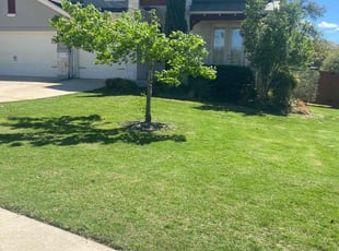 Marlyn R.'s grass maintenance service result