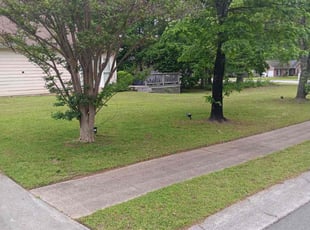 Blake T.'s lawn care services service result