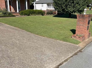 Debbie V.'s grass cutting service result