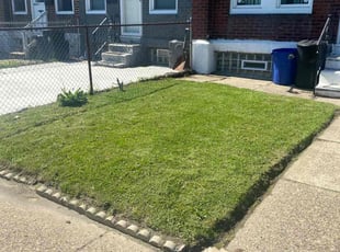 Lewis R.'s lawn maintenance service result